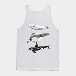 Beluga, orca and humpback whale ink Tank Top